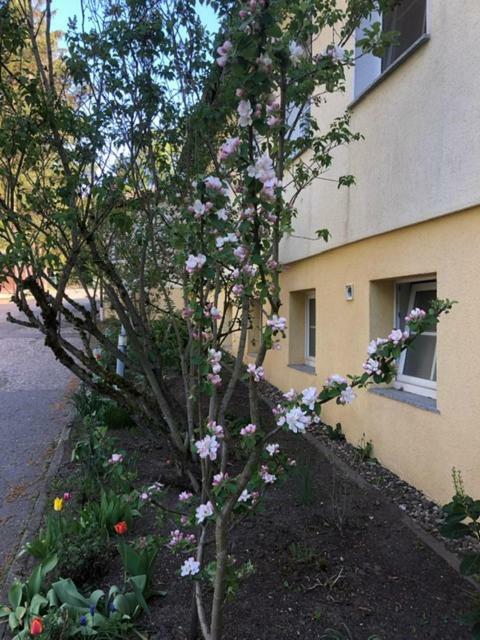 Feriendorf Waldfrieden Suhl Εξωτερικό φωτογραφία